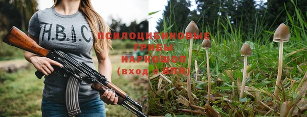 амф Алексеевка
