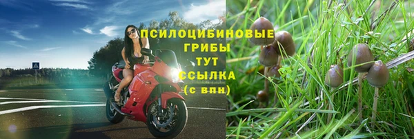 твердый Алексин