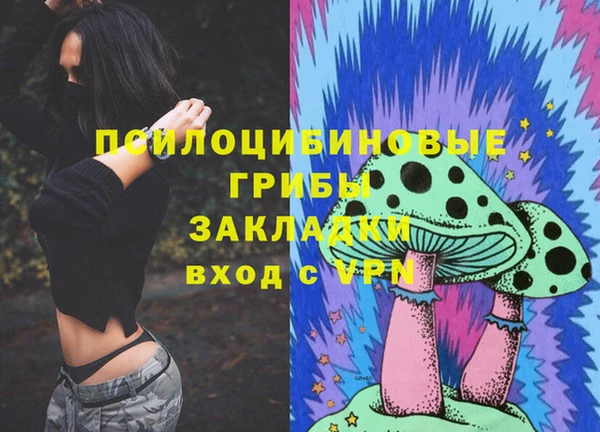 дмт Алзамай