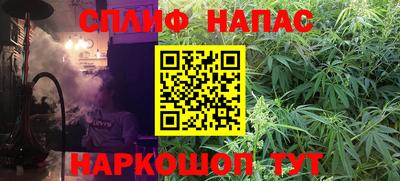 мдпв Кингисепп