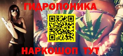 мдпв Кингисепп