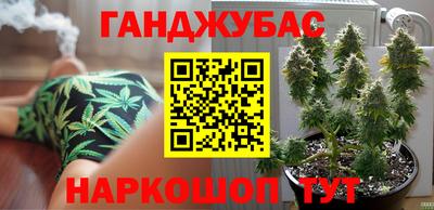 мдпв Кингисепп