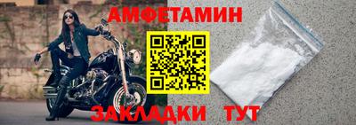 мдпв Кингисепп