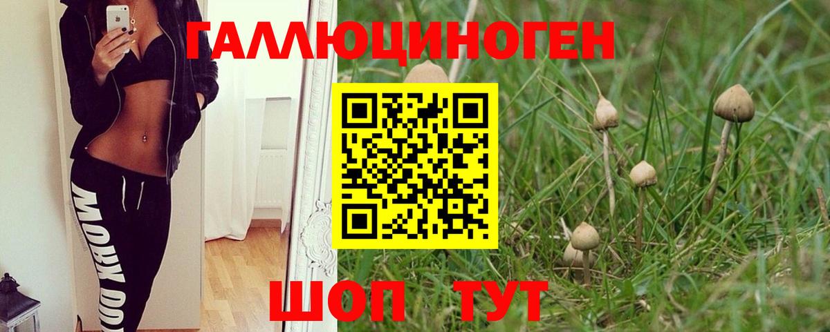 Псилоцибиновые грибы ЛСД  Вход с VPN  Псилоцибиновые грибы мухоморы  купить  сайты  Лениногорск 