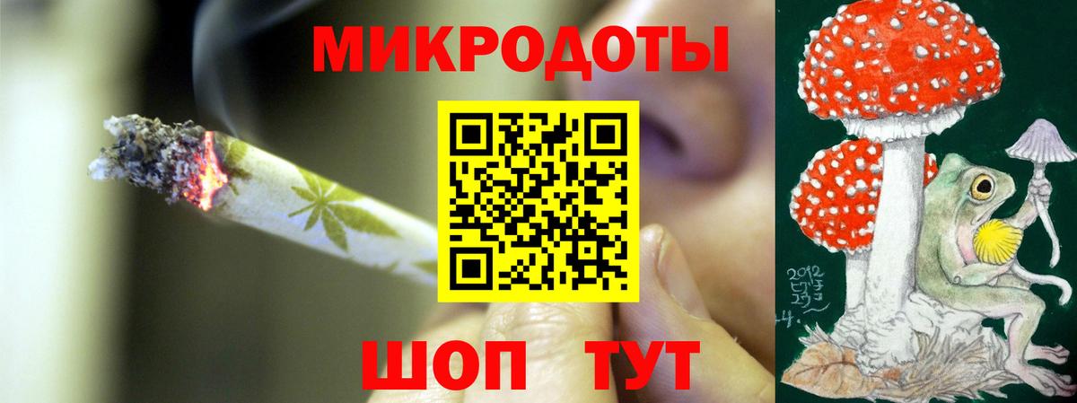 Псилоцибиновые грибы Psilocybine cubensis Лениногорск